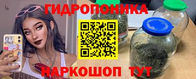 крисы Краснодар