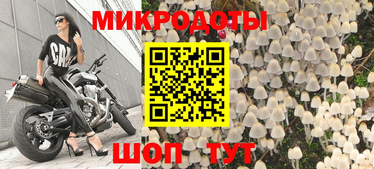 Галлюциногенные грибы Psilocybine cubensis  Вход с VPN  Советск 